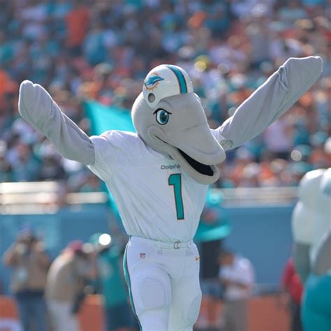 Behind the Mask: The Miami Dolphins Mascot Name's Hidden Story